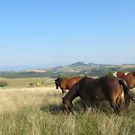 Le Corral *